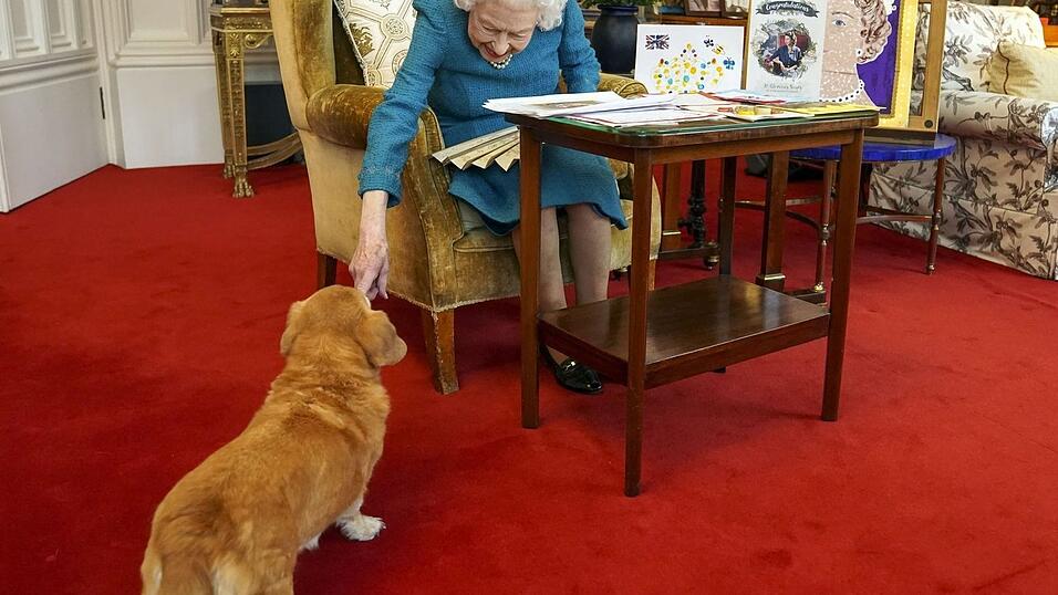 K&ouml;nigin Elizabeth II. streichelt einen ihrer Hunde, einem Corgi namens Candy, in Schloss Windsor.
