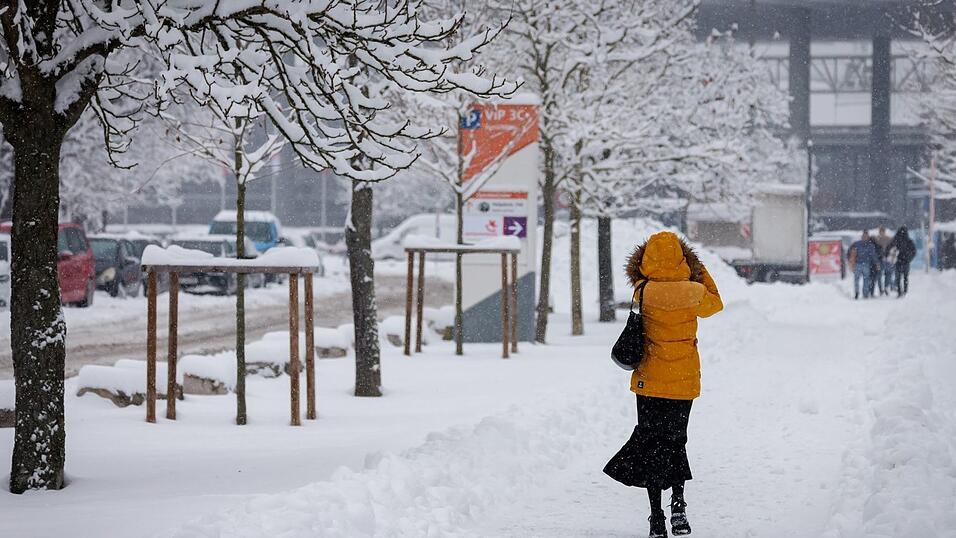 In N&uuml;rnberg hat sich viel Schnee auf den &Auml;sten der B&auml;ume gesammelt. Deshalb bleiben zwei gro&szlig;e Friedh&ouml;fe vorsichtshalber geschlossen. (Symbolbild)