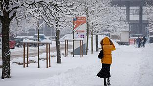 In N&uuml;rnberg hat sich viel Schnee auf den &Auml;sten der B&auml;ume gesammelt. Deshalb bleiben zwei gro&szlig;e Friedh&ouml;fe vorsichtshalber geschlossen. (Symbolbild)