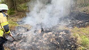 Verschmorte Bäume sind vom Waldbrand auf dem Truppenübungsplatz geblieben. Verschmorte Bäume sind vom Waldbrand auf dem Truppenübungsplatz geblieben.