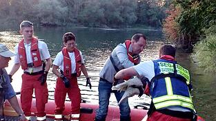 Mit vereinten Kräften wurde das Tier befreit. Es sei so erschöpft gewesen, dass es sich nicht mehr wehrte, sagte Jäger Martin Brogl. (2.v.r.). Mit vereinten Kräften wurde das Tier befreit. Es sei so erschöpft gewesen, dass es sich nicht mehr wehrte, sagte Jäger Martin Brogl. (2.v.r.).