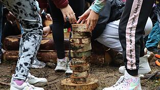 Der Wald verbindet - so das Motto der Woche des Waldes des Jahres 2026. In Furth war es sogleich praktiziert. Der Wald verbindet - so das Motto der Woche des Waldes des Jahres 2026. In Furth war es sogleich praktiziert.