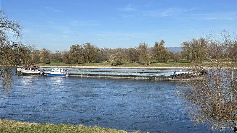 Aufgrund eines Fahrfehlers hat sich das Gütermotorschiff „Nibelungen' in der Donau nahe Osterhofen festgefahren.   
