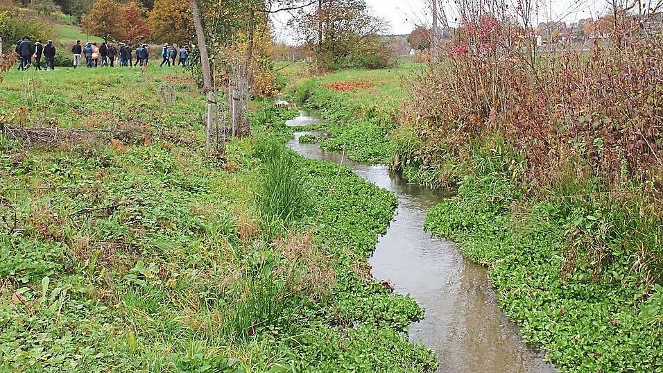 Die renaturierte Pfettrach, die nicht nur bei Hochwasser ihre Aufgabe erfüllt, sondern auch Lebensraum für viele Arten bietet, hat sich in Kombination mit dem Radweg (im Bild links) zu einem Naherholungsgebiet für Weihmichl entwickelt. Die renaturierte Pfettrach, die nicht nur bei Hochwasser ihre Aufgabe erfüllt, sondern auch Lebensraum für viele Arten bietet, hat sich in Kombination mit dem Radweg (im Bild links) zu einem Naherholungsgebiet für Weihmichl entwickelt.