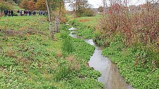 Die renaturierte Pfettrach, die nicht nur bei Hochwasser ihre Aufgabe erfüllt, sondern auch Lebensraum für viele Arten bietet, hat sich in Kombination mit dem Radweg (im Bild links) zu einem Naherholungsgebiet für Weihmichl entwickelt. Die renaturierte Pfettrach, die nicht nur bei Hochwasser ihre Aufgabe erfüllt, sondern auch Lebensraum für viele Arten bietet, hat sich in Kombination mit dem Radweg (im Bild links) zu einem Naherholungsgebiet für Weihmichl entwickelt.