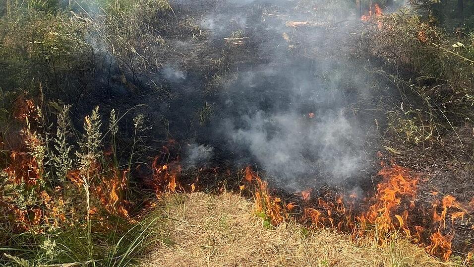 Bis tief in das Wurzelwerk reichten die Flammen. Das zögerte die Löscharbeiten gegen Ende hinaus. Bis tief in das Wurzelwerk reichten die Flammen. Das zögerte die Löscharbeiten gegen Ende hinaus.