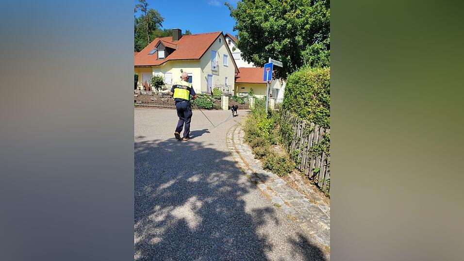 Polizeihauptkommissar Bernhard Meyerhofer bei der Suche.