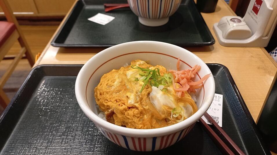 Besondere Toiletten, leckeres Essen, eine faszinierende Kultur: Katis Eindrücke aus Japan.