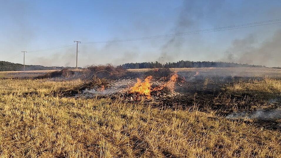 Das Feuer hatte sich laut Polizeiangaben auf eine Fl&auml;che von rund 250 Quadratmetern ausgebreitet.