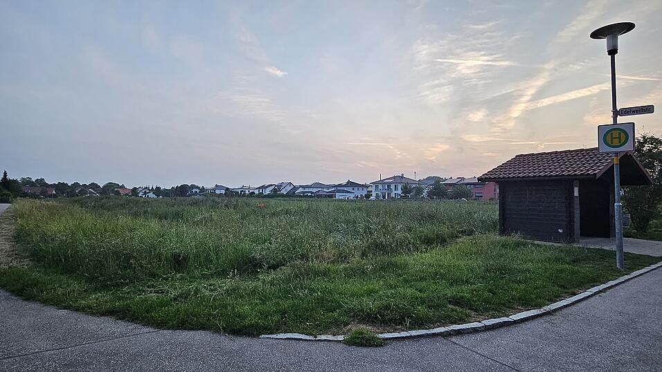 Auf dieser 18.900 Quadratmeter großen Fläche soll das Wohnbaugebiet „Südlich Blumenäcker“ entstehen. Im Vergleich zu den umliegenden Siedlungen werden dort die Grundstücke kleiner und die Bebauungen enger sein.