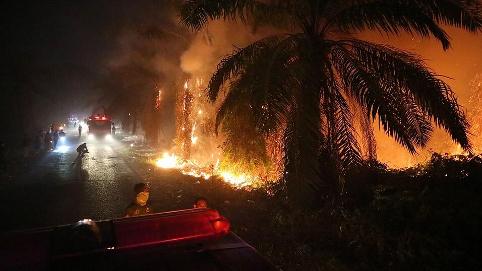 Während der Trockenzeit brechen auf Borneo immer wieder verheerende Feuer aus. Während der Trockenzeit brechen auf Borneo immer wieder verheerende Feuer aus.