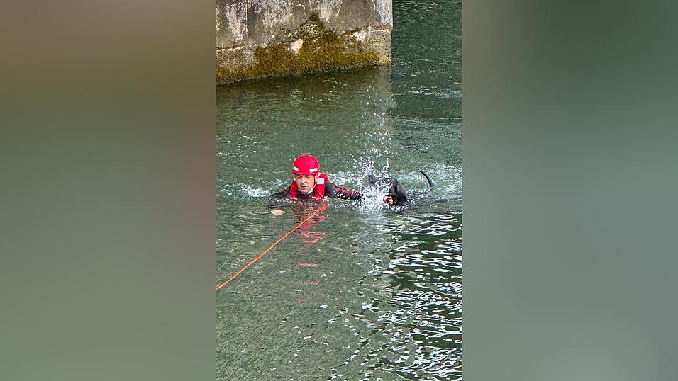 Ein speziell ausgebildeter Str&ouml;mungsretter holte den verungl&uuml;ckten Vierbeiner aus dem Fluss.
