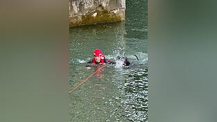 Ein speziell ausgebildeter Str&ouml;mungsretter holte den verungl&uuml;ckten Vierbeiner aus dem Fluss.