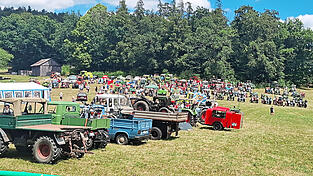Voller Erfolg: 240 Fahrzeuge waren für das zweitägige Oldtimertreffen am Losenhof angemeldet. Voller Erfolg: 240 Fahrzeuge waren für das zweitägige Oldtimertreffen am Losenhof angemeldet.