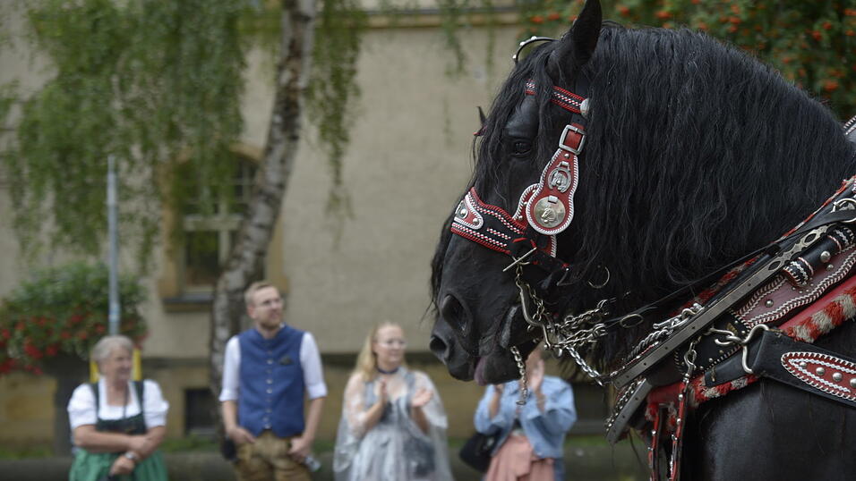Zahlreiche Musik- und Trachtengruppen zogen nach dreij&auml;hriger Pause am Freitagabend zum Festplatz Am Hagen.&nbsp;