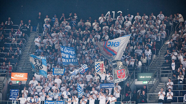 Zahlreiche Fans der Straubing Tigers sind nach Berlin gereist.