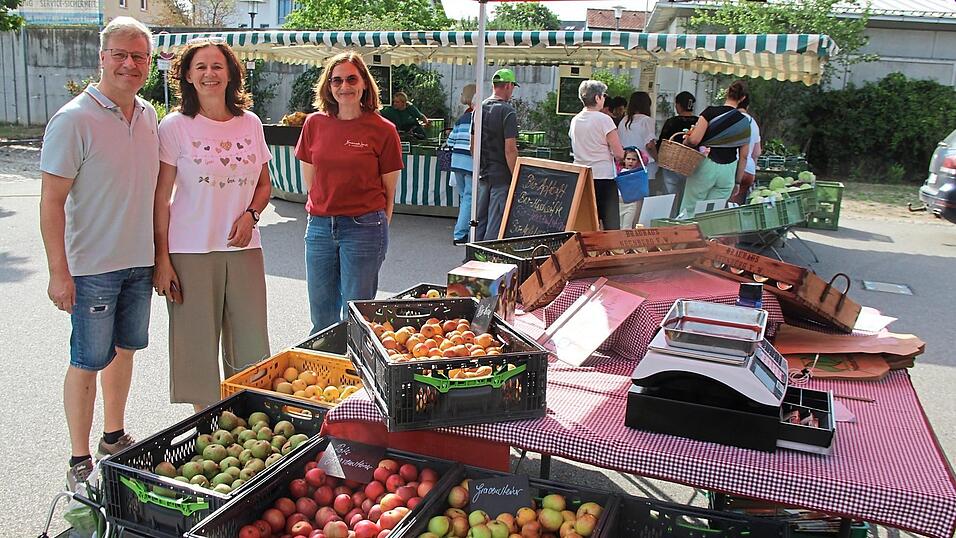 Langsam f&uuml;llt sich der Stand aus dem Hansenrieder Land bei Neukirchen-Balbini mit Kisten verschiedenster &Auml;pfel und Birnen: Eva Spie&szlig;l-Mayr (rechts) ber&auml;t immer freitags auf dem Rodinger Bauernmarkt, wei&szlig; um Geschmack und Lagerzeiten.