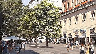 So grün könnte die Münchner Fußgängerzone eines Tages aussehen. Ab Ende 2026 will die Stadt dort Bäume pflanzen und hat dafür eigens ein Architekturbüro beauftragt.