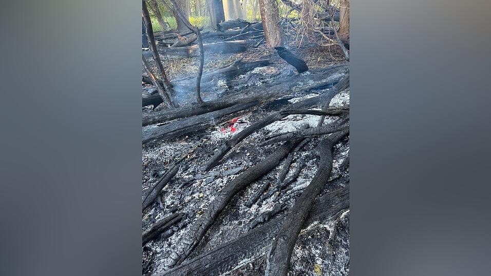 Die Feuerwehren aus Altheim und Ergolding löschten den Brand in den Isarauen. Die Feuerwehren aus Altheim und Ergolding löschten den Brand in den Isarauen.