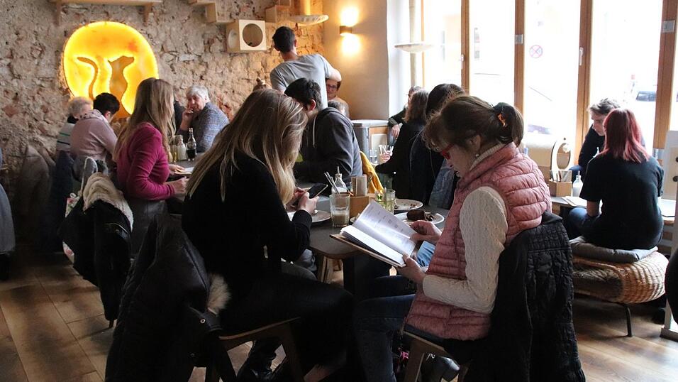 'Kaffee trinken mit Katzen' - das Regensburger Katzencaf&eacute; in der Oberm&uuml;nsterstra&szlig;e hat am 16. Januar er&ouml;ffnet.