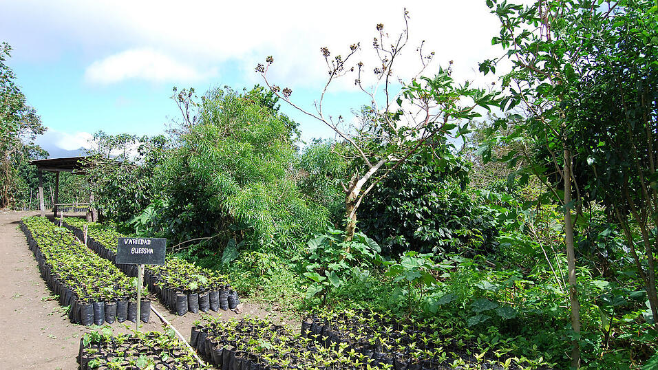 Landaufenthalt in Panama, Januar 2010 Landaufenthalt in Panama, Januar 2010