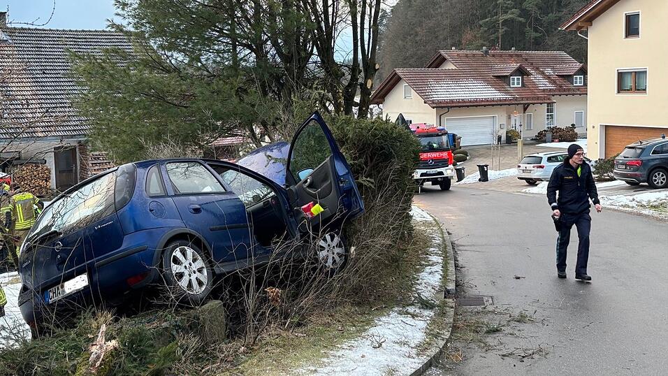 Der Autofahrer landete aus bislang unbekannter Ursache in der Hecke.