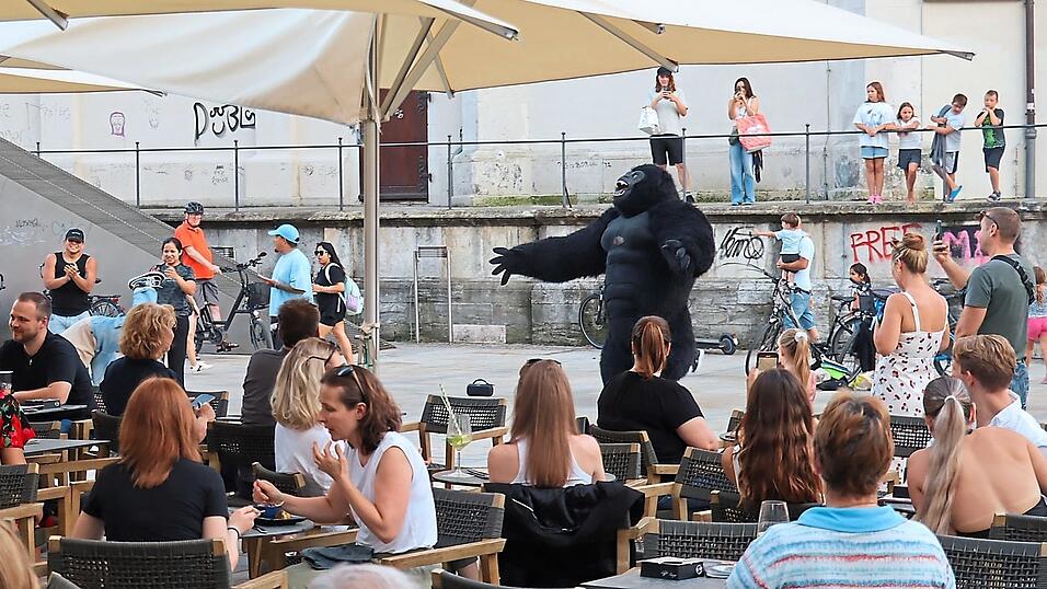 Plötzlich genießen die Cafégäste eine Show aus erster Reihe: Ein Gorilla tollt über den Platz. Plötzlich genießen die Cafégäste eine Show aus erster Reihe: Ein Gorilla tollt über den Platz.