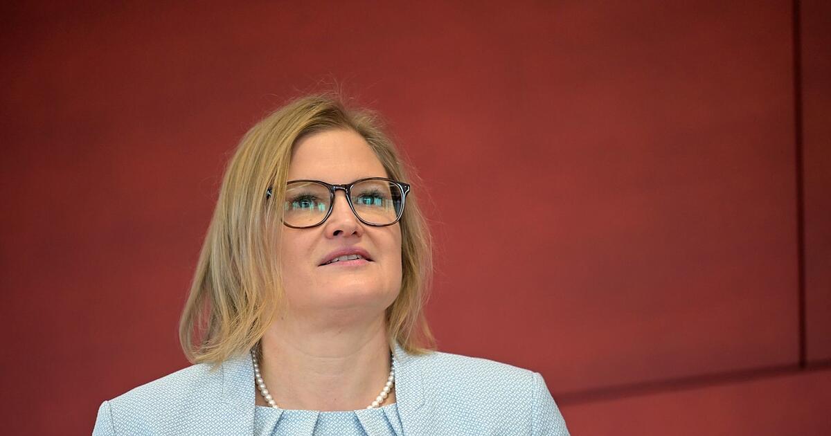 Ebner-Steiner und Singer führen AfD-Fraktion nun gemeinsam