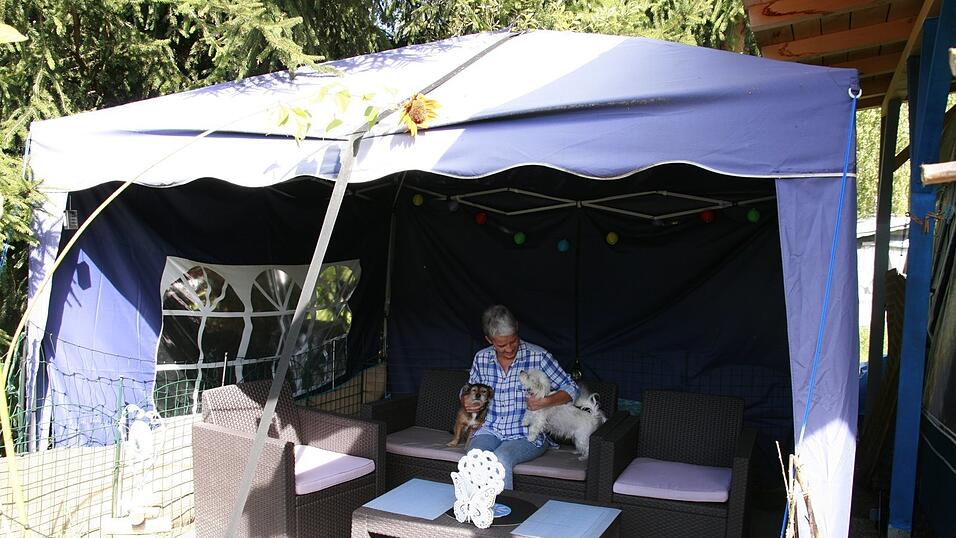 Die Hunde Ginger und Krümel gehören zur Camperin dazu - für sie hat sie ihr Grundstück sogar eingezäunt. Die Hunde Ginger und Krümel gehören zur Camperin dazu - für sie hat sie ihr Grundstück sogar eingezäunt.