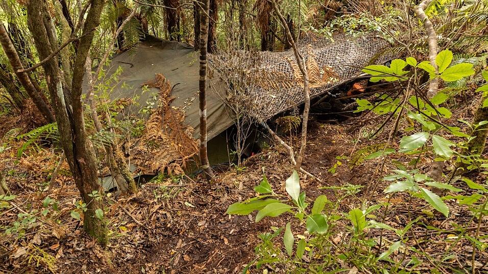 Das Hauptlager wurde in einem dichten Wald auf der Nordinsel entdeckt.