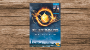 'Die Bestimmung' von Veronica Roth, cbt, Verlagsgruppe Random House, 480 Seiten.