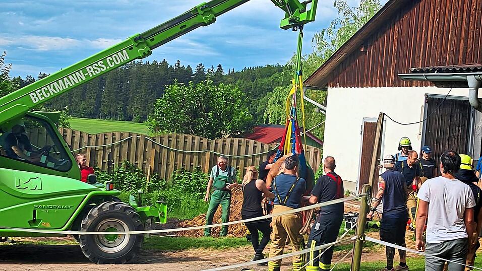 F&uuml;r die Rettung des Pferds kam ein spezielles Gurtsystem zum Einsatz.
