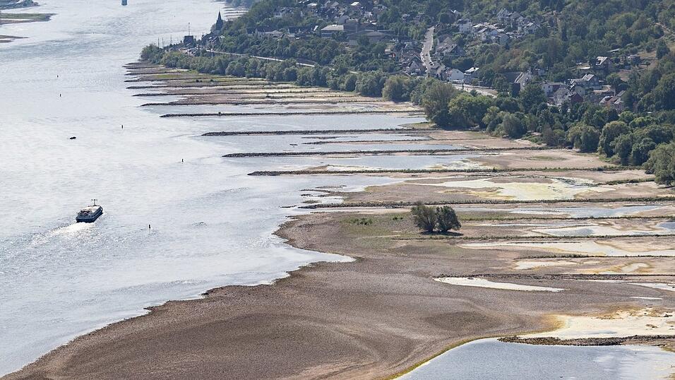 Folge des ungew&ouml;hnlich hei&szlig;en Sommers: Der Rhein f&uuml;hrt extrem wenig Wasser.