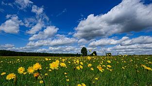 Das Wochenende bringt Temperaturen von mehr als 30 Grad mit sich. Das Wochenende bringt Temperaturen von mehr als 30 Grad mit sich.