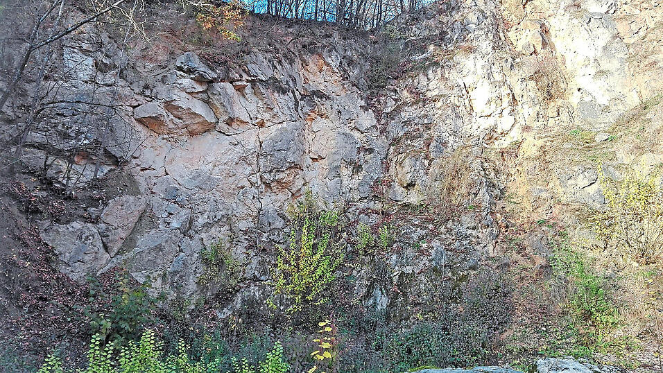 Helmberg und Buchberg sind Kalkschollen, die wie Rucksäcke am südlichen Abhang des Bayerischen Waldes hängen. Ihre Gesteinspakete aus der Jura- und Kreidezeit liegen direkt auf dem Grundgebirge auf, das seinerseits aus kristallinem Granit und Gneis besteht. Helmberg und Buchberg sind Kalkschollen, die wie Rucksäcke am südlichen Abhang des Bayerischen Waldes hängen. Ihre Gesteinspakete aus der Jura- und Kreidezeit liegen direkt auf dem Grundgebirge auf, das seinerseits aus kristallinem Granit und Gneis besteht.