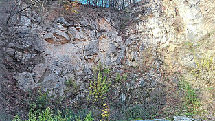 Helmberg und Buchberg sind Kalkschollen, die wie Rucksäcke am südlichen Abhang des Bayerischen Waldes hängen. Ihre Gesteinspakete aus der Jura- und Kreidezeit liegen direkt auf dem Grundgebirge auf, das seinerseits aus kristallinem Granit und Gneis besteht.
