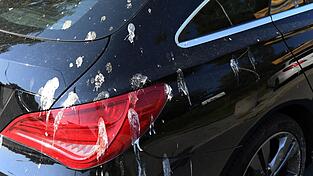 Vogelkot kann den Lack bis in die Tiefe schädigen und sollte schnellstmöglich entfernt werden.