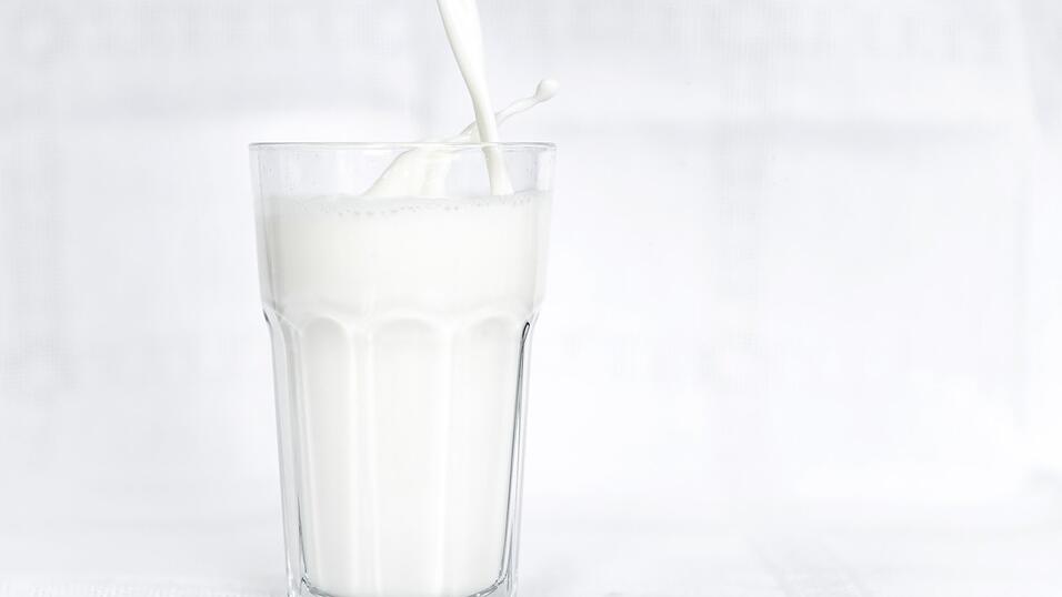 Am 1. Juni ist Tag der Milch. Der Preis f&uuml;r die Milch ist so hoch wie seit Jahren nicht.