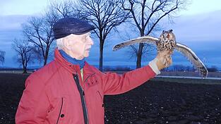 Dr. Adolf Feig von der LBV-Kreisgruppe entlässt die Waldohreule in die Freiheit. Dr. Adolf Feig von der LBV-Kreisgruppe entlässt die Waldohreule in die Freiheit.