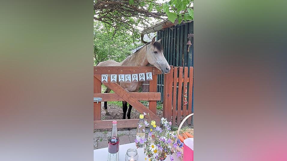 Joy ist endlich zuhause angekommen.