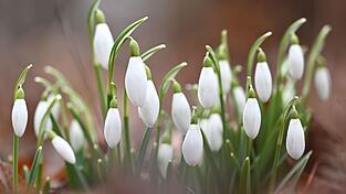 Die Temperaturen in Bayern steigen weiter an. (Symbolbild) Die Temperaturen in Bayern steigen weiter an. (Symbolbild)