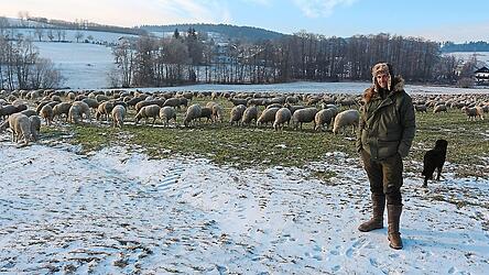 Derzeit ist Sch&auml;fer Tobias V&ouml;gerl aus Niederwinkling mit seinen zirka 1.000 Schafen in der Gemeinde Zandt, momentan im Ortsteil Kothrettenbach unterwegs.