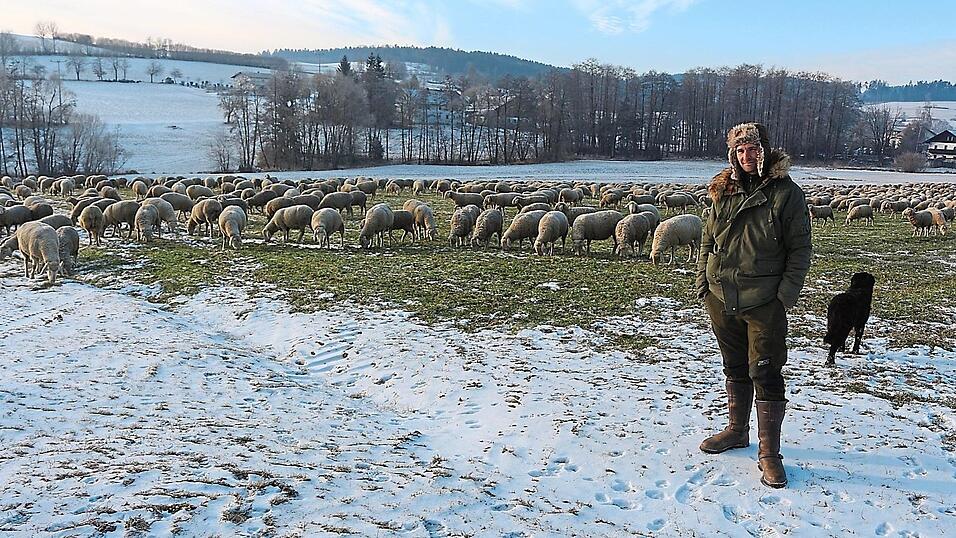 Derzeit ist Sch&auml;fer Tobias V&ouml;gerl aus Niederwinkling mit seinen zirka 1.000 Schafen in der Gemeinde Zandt, momentan im Ortsteil Kothrettenbach unterwegs.