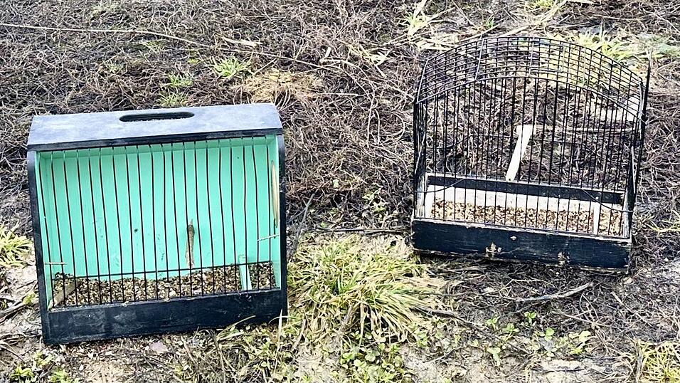 Die Vogelsch&uuml;tzer fanden auch mehrere mit Vogelfutter pr&auml;parierte Fangk&auml;fige vor.