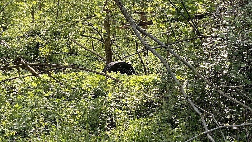 Der Zwillingsreifen im Gebüsch Der Zwillingsreifen im Gebüsch