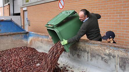 Manche Kinder hatten ganze Mülltonnen voll an Kastanien gesammelt. Die leerte Bernhard Bäuml in den Container. Manche Kinder hatten ganze Mülltonnen voll an Kastanien gesammelt. Die leerte Bernhard Bäuml in den Container.