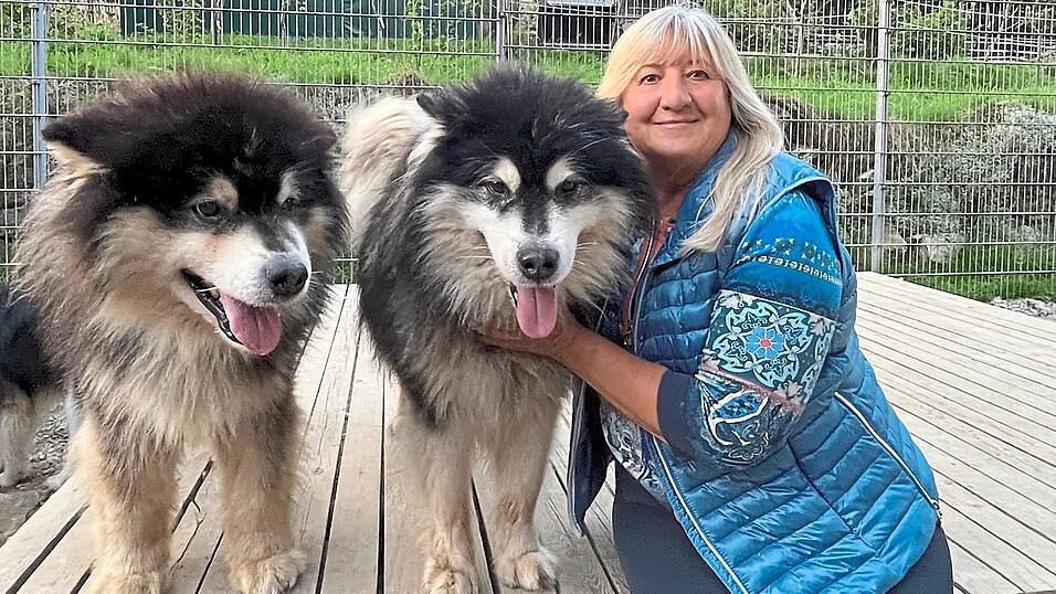 Hundeliebhaberin und Wild&weiblich-Vereinsvorsitzende Roswitha Prasser auf Kuschelkurs mit den beiden Alaska Malamutes-Br&uuml;dern 'Anouk' (l.) und 'Lauri Peterson'.