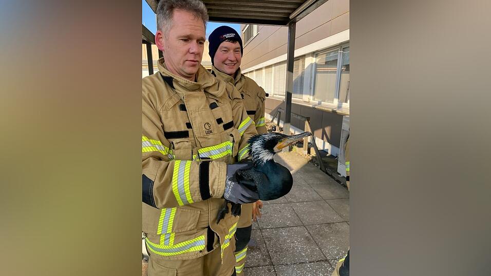 Die Feuerwehr rettet auch regelmäßig Tiere in Not. Die Feuerwehr rettet auch regelmäßig Tiere in Not.