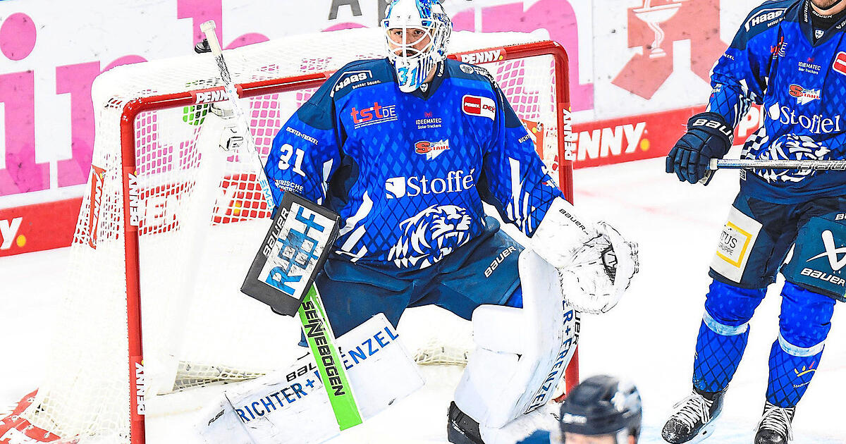 Sechs-Punkte-Wochenende für Straubing Tigers - und Hauch von Playoffs
