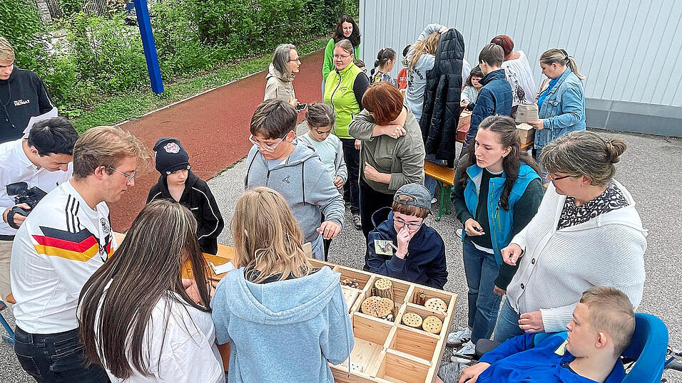 Gemeinsam befüllen die Schüler die Holzrahmen, 'so dass nichts wackelt', wie Verena Eißfeller (mit grüner Weste im Hintergrund) von der Umweltstation Landshut erklärt. So sind die empfindlichen Insektengelege geschützt. Gemeinsam befüllen die Schüler die Holzrahmen, 'so dass nichts wackelt', wie Verena Eißfeller (mit grüner Weste im Hintergrund) von der Umweltstation Landshut erklärt. So sind die empfindlichen Insektengelege geschützt.